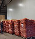 Pallets met zakken uien in de loods (1)